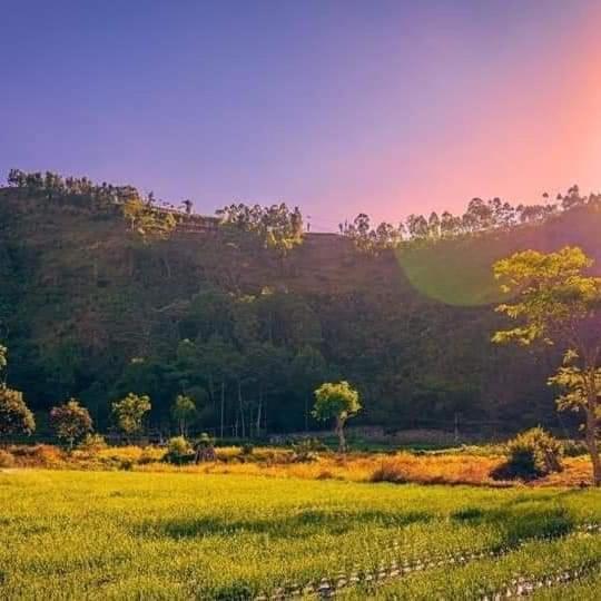 Pondok Bali Cottage Kintamani エクステリア 写真